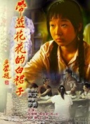 多维度分析百度关键词推广的ROI表现